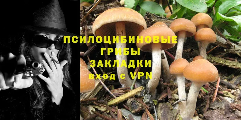 наркота  ссылка на мегу онион  Псилоцибиновые грибы Psilocybe  Гусь-Хрустальный 